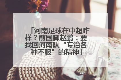 河南足球在中超咋样？前国脚赵鹏：要找回河南队“专治各种不服”的精神