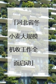 河北省冬小麦大规模机收工作全面启动