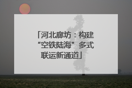 河北廊坊：构建“空铁陆海”多式联运新通道
