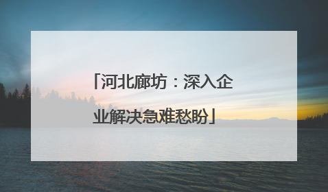 河北廊坊：深入企业解决急难愁盼