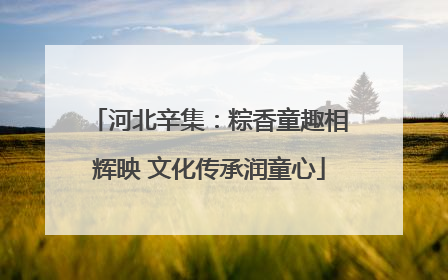 河北辛集：粽香童趣相辉映 文化传承润童心