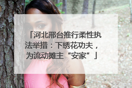 河北邢台推行柔性执法举措：下绣花功夫，为流动摊主“安家”