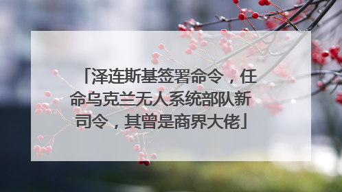 泽连斯基签署命令，任命乌克兰无人系统部队新司令，其曾是商界大佬