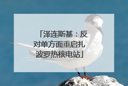 泽连斯基：反对单方面重启扎波罗热核电站