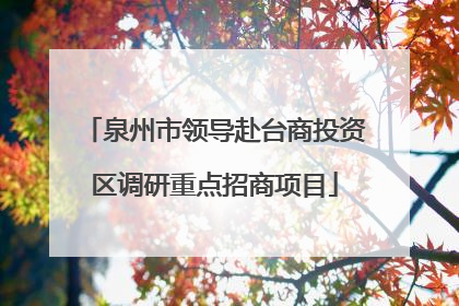 泉州市领导赴台商投资区调研重点招商项目