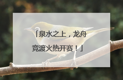 泉水之上，龙舟竞渡火热开赛！
