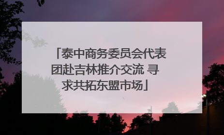 泰中商务委员会代表团赴吉林推介交流 寻求共拓东盟市场