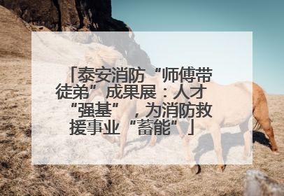 泰安消防“师傅带徒弟”成果展：人才“强基”，为消防救援事业“蓄能”