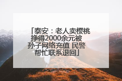 泰安：老人卖樱桃挣得2000余元被孙子网络充值 民警帮忙联系退回