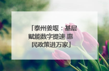 泰州姜堰：基层赋能数字提速 惠民政策进万家