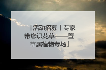 活动招募丨专家带您识花草——萱草属植物专场