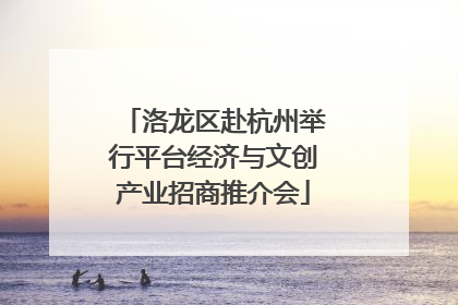 洛龙区赴杭州举行平台经济与文创产业招商推介会