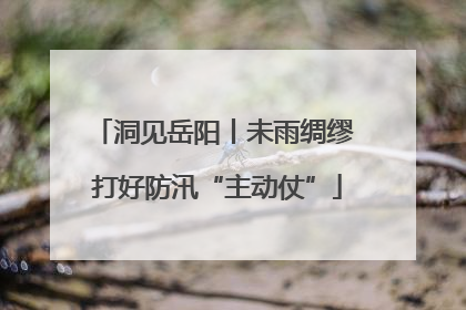 洞见岳阳丨未雨绸缪 打好防汛“主动仗”