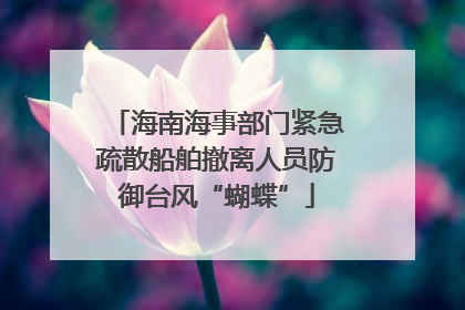 海南海事部门紧急疏散船舶撤离人员防御台风“蝴蝶”