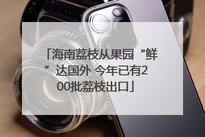 海南荔枝从果园“鲜”达国外 今年已有200批荔枝出口