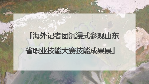 海外记者团沉浸式参观山东省职业技能大赛技能成果展