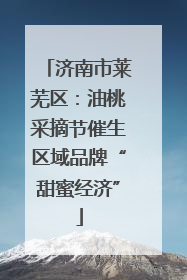 济南市莱芜区：油桃采摘节催生区域品牌“甜蜜经济”