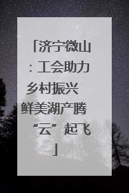 济宁微山：工会助力乡村振兴 鲜美湖产腾“云”起飞