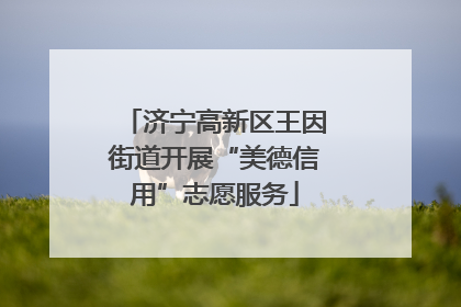 济宁高新区王因街道开展“美德信用”志愿服务
