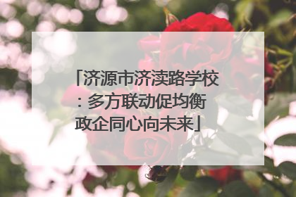 济源市济渎路学校：多方联动促均衡 政企同心向未来
