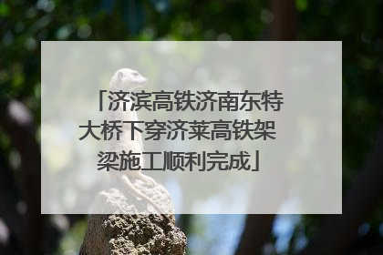 济滨高铁济南东特大桥下穿济莱高铁架梁施工顺利完成