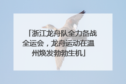 浙江龙舟队全力备战全运会，龙舟运动在温州焕发勃勃生机