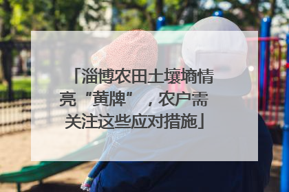 淄博农田土壤墒情亮“黄牌”，农户需关注这些应对措施