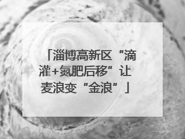 淄博高新区“滴灌+氮肥后移”让麦浪变“金浪”