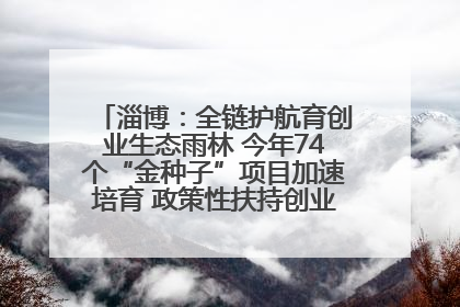 淄博：全链护航育创业生态雨林 今年74个“金种子”项目加速培育 政策性扶持创业9754人