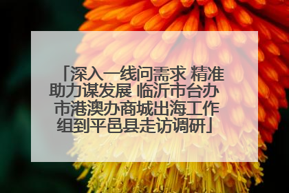 深入一线问需求 精准助力谋发展 临沂市台办 市港澳办商城出海工作组到平邑县走访调研