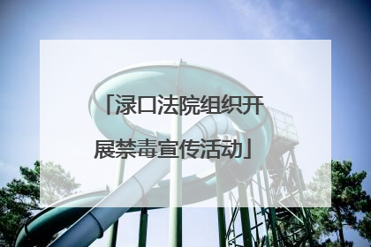 渌口法院组织开展禁毒宣传活动