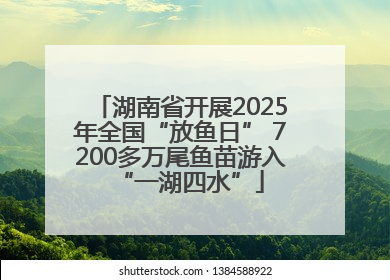 湖南省开展2025年全国“放鱼日” 7200多万尾鱼苗游入“一湖四水”