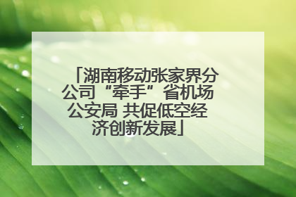 湖南移动张家界分公司“牵手”省机场公安局 共促低空经济创新发展