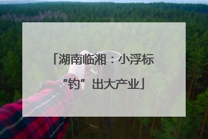 湖南临湘：小浮标“钓”出大产业