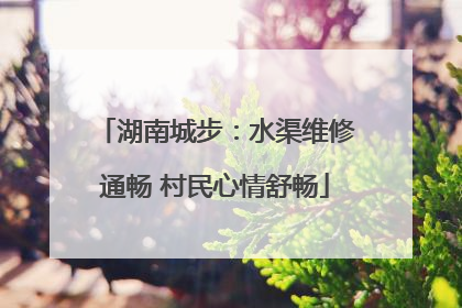 湖南城步：水渠维修通畅 村民心情舒畅