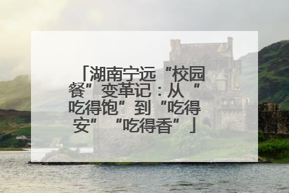 湖南宁远“校园餐”变革记：从“吃得饱”到“吃得安”“吃得香”