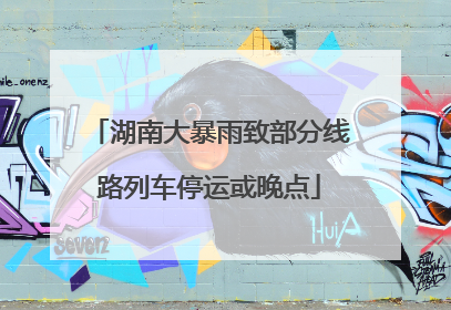 湖南大暴雨致部分线路列车停运或晚点