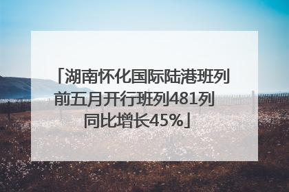 湖南怀化国际陆港班列前五月开行班列481列 同比增长45%
