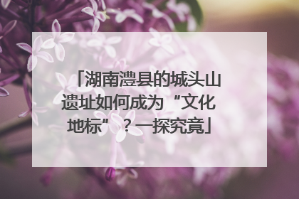 湖南澧县的城头山遗址如何成为“文化地标”？一探究竟
