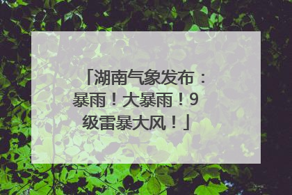 湖南气象发布：暴雨！大暴雨！9级雷暴大风！