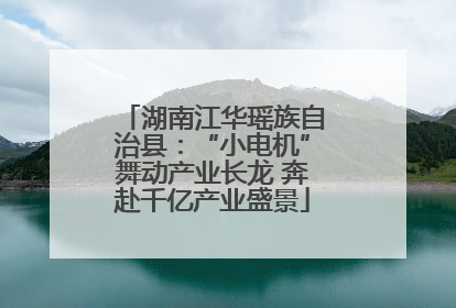 湖南江华瑶族自治县：“小电机”舞动产业长龙 奔赴千亿产业盛景