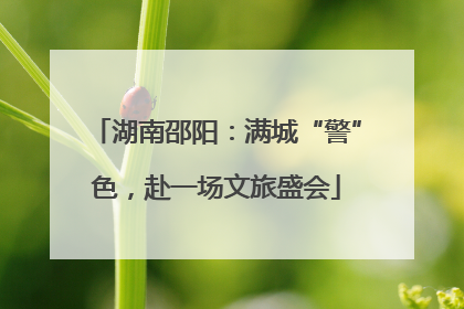 湖南邵阳：满城“警”色，赴一场文旅盛会