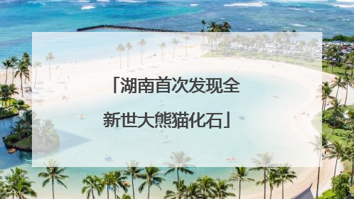 湖南首次发现全新世大熊猫化石