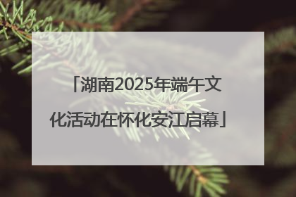 湖南2025年端午文化活动在怀化安江启幕