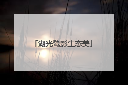 湖光鹭影生态美