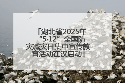 湖北省2025年“5·12”全国防灾减灾日集中宣传教育活动在汉启动