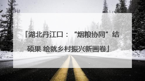 湖北丹江口：“烟粮协同”结硕果 绘就乡村振兴新画卷