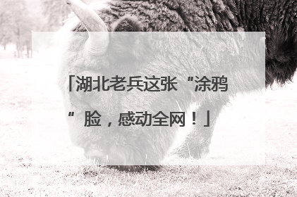 湖北老兵这张“涂鸦”脸，感动全网！
