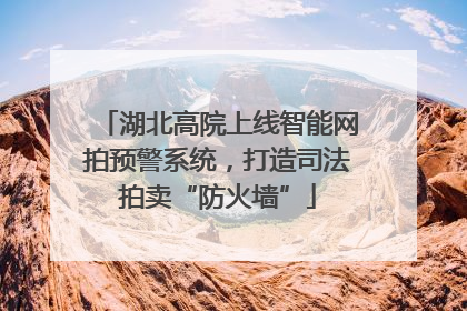 湖北高院上线智能网拍预警系统，打造司法拍卖“防火墙”