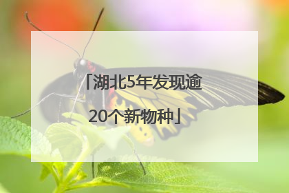 湖北5年发现逾20个新物种